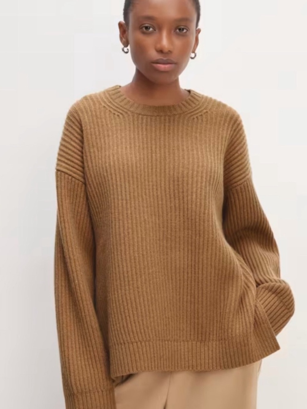 Everlane Felted Oversized Wool Ribbed Crewneck Sweater XS